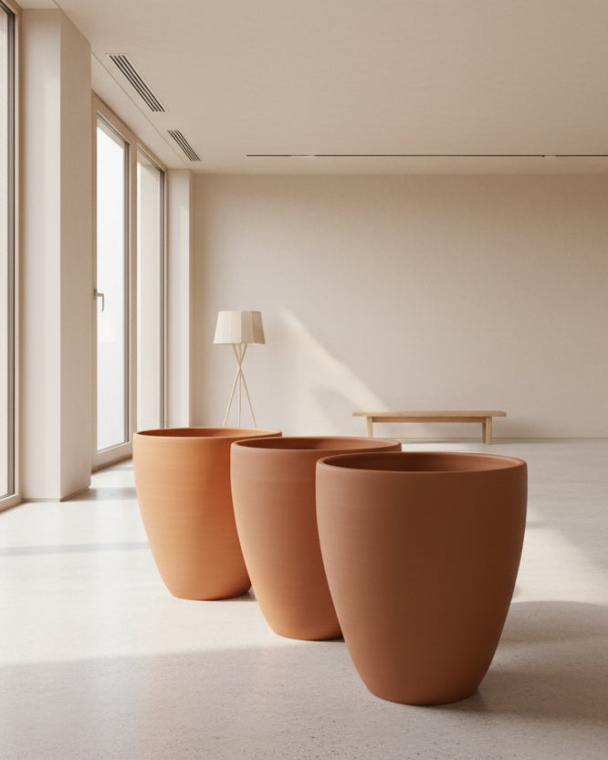TERRACO 2